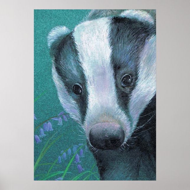 Badger na poster de bluebell woods (Frente)