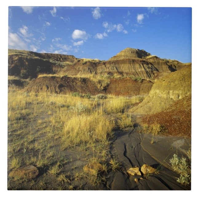 Badlands no Parque Provincial dos Dinossauros em A (Frente)