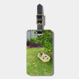 Bagagem Charlie, A Fox Terrier Bath Time, Etiqueta De Baga