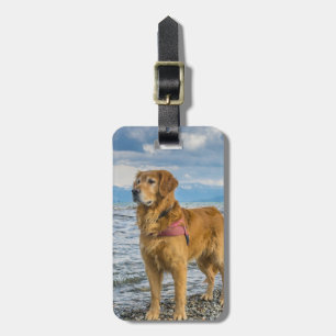 Bagagem Ouro Retriever Insira Sua Própria Etiqueta De Bag