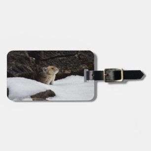 Bagagem Pika na etiqueta de neve com informações de cont