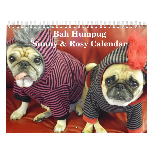 Bah calendário 2016 ensolarado & rosado de Humpug (Capa)
