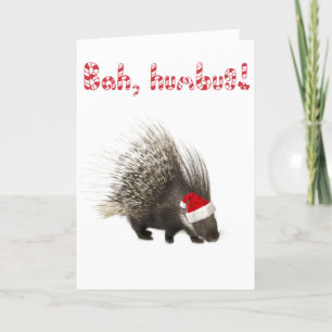 Bah, humbug! Cartão Porcupine