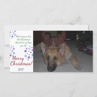 Bah Humbug German shepherd do cartão de Natal engr