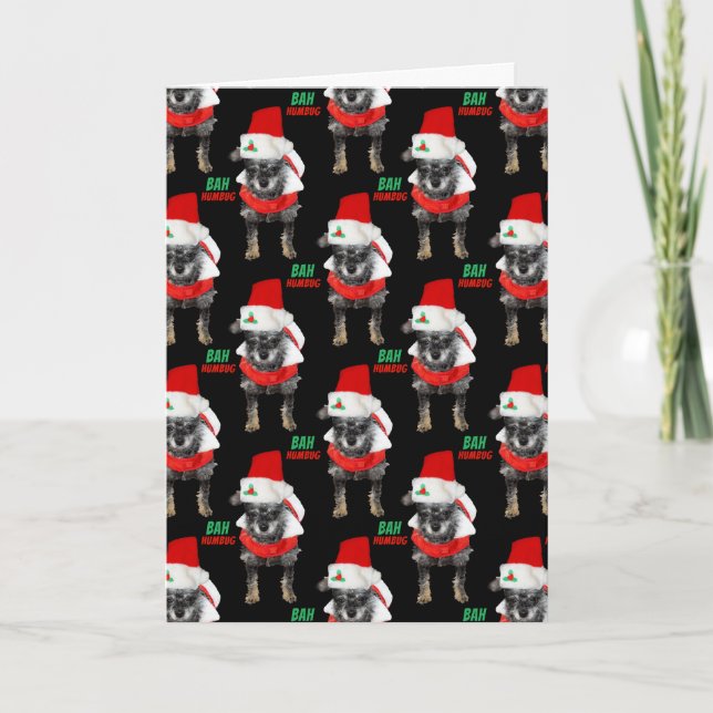 Bah Humbug Natal Cachorro Modelo (Frente)