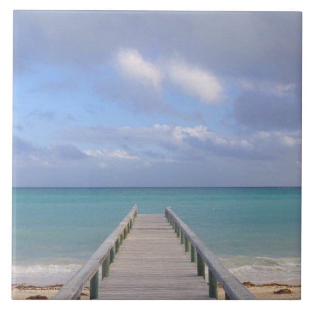 BAHAMAS, Ilha de Grand Bahama, Lado Leste: (Frente)