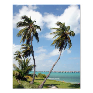 Bahia Honda State Park Florida Keys Foto Impressão