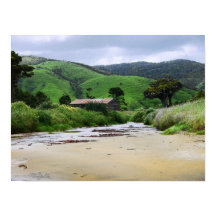 Baía Canibal : Caitlins : Poster da Nova Zelândia