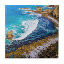 Baía De Roaring No Ponto Nugget