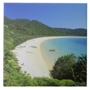 Baía de Tonga, Abel Tasman NP, Ilha do Sul, Nova