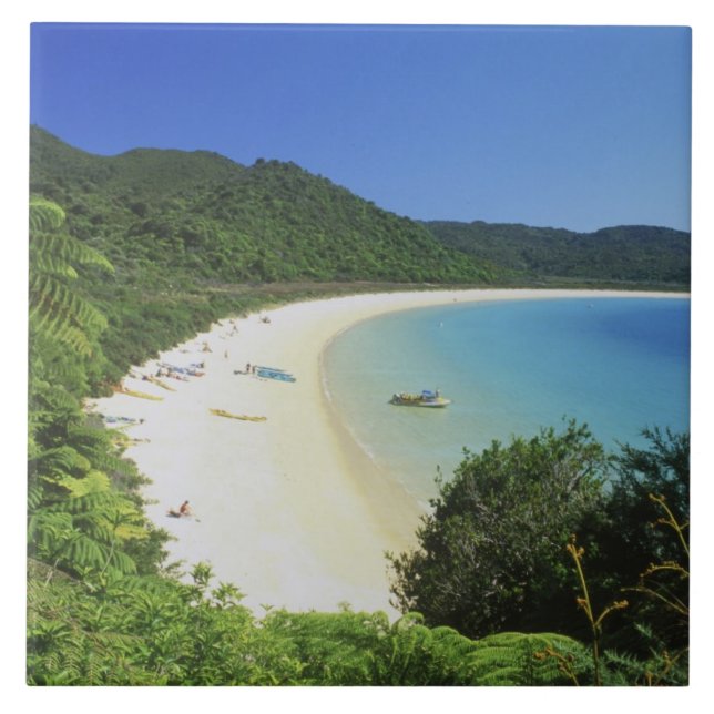 Baía de Tonga, Abel Tasman NP, Ilha do Sul, Nova (Frente)