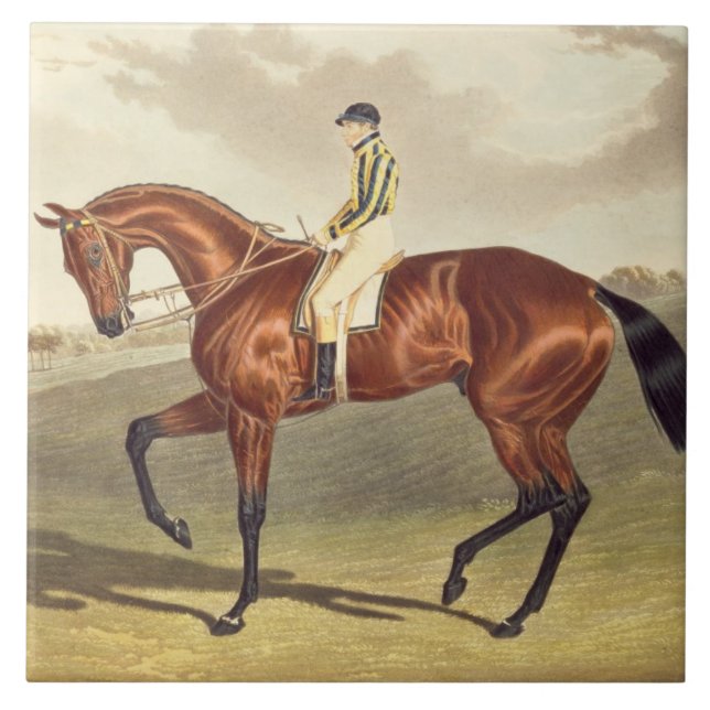 Baía Middleton, vencedor do Derby em 1836, em (Frente)