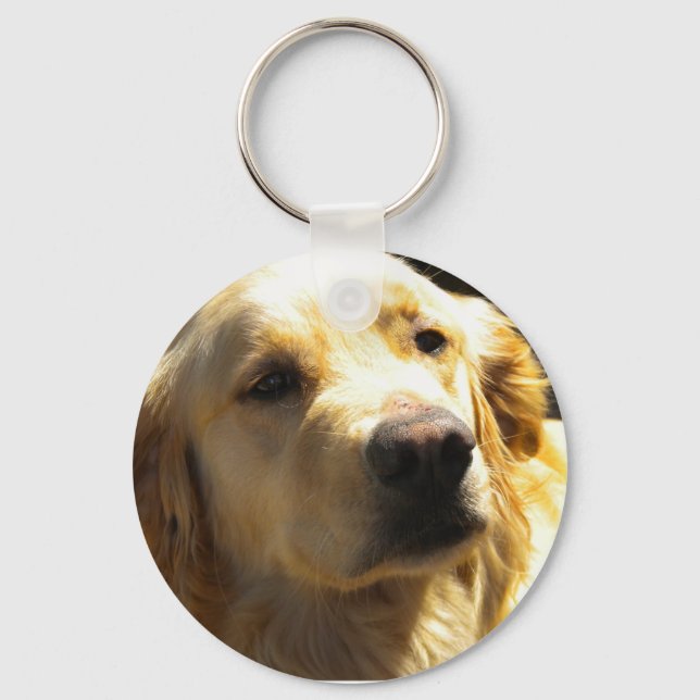 Bailey, o Chaveiro do Ouro Retriever (Frente)