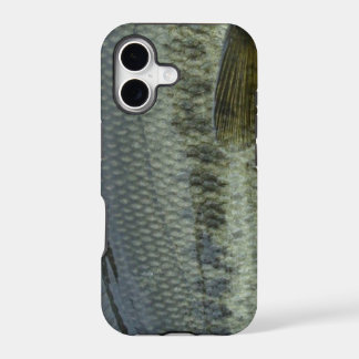Baixo Largemouth pela pesca com mosca de