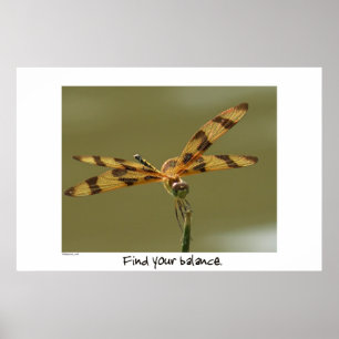 Balancear Dragonfly Poster Impressão