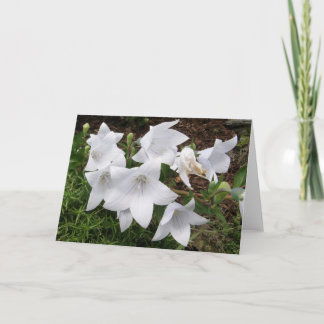 Balão Flor (Flor Chinês) Cartões Saudáveis