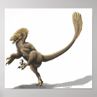 Balaur Bondoc Impressão