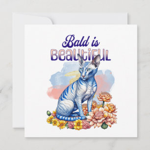 Bald é Bonito   Gato sem pelo