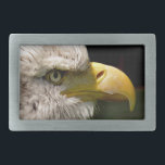 BALD EAGLE<br><div class="desc">Uma bela águia careca.</div>