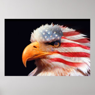 Bald Eagle 4 De Julho poster 13