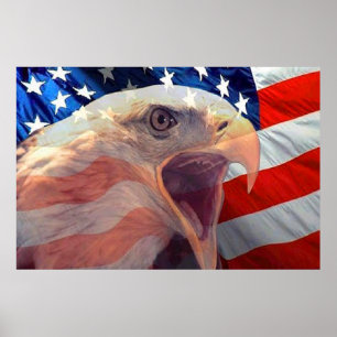 Bald Eagle 4 De Julho poster 4
