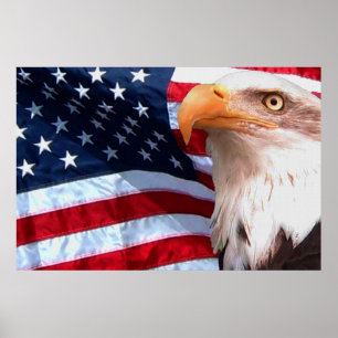 Bald Eagle 4 De Julho poster 8