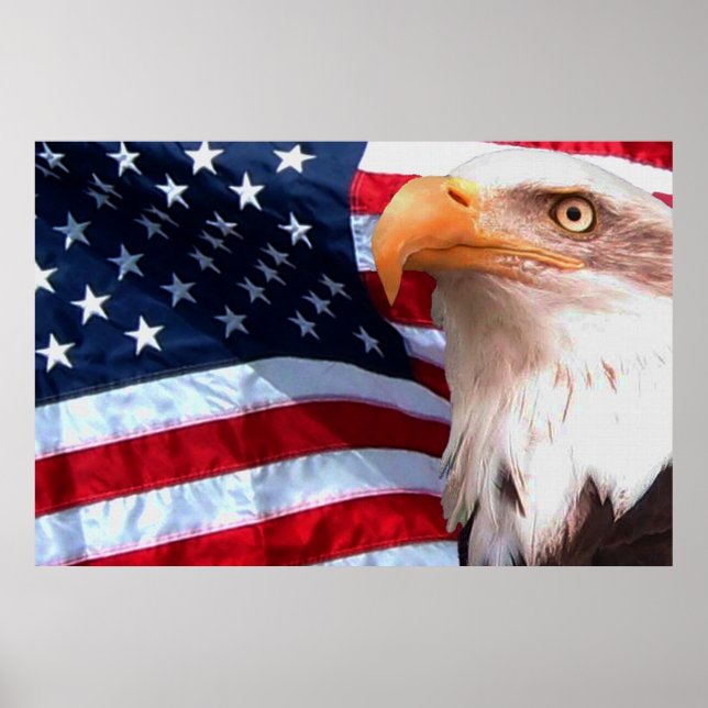 Bald Eagle 4 De Julho poster 8 (Frente)