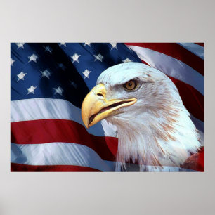 Bald Eagle 4 De Julho poster 9