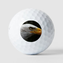Bald Eagle a6 gba