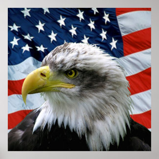 Bald Eagle American Flag Impressão