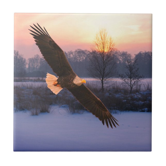 BALD EAGLE CERAMIC TILE (Frente)