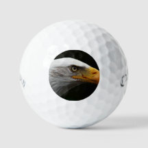 Bald Eagle css gbcna