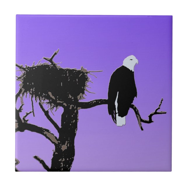 Bald Eagle em Sunset - Arte original sobre a vida  (Frente)