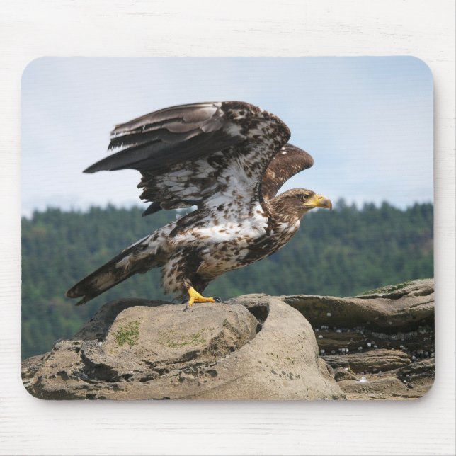 Bald Eagle Ready for Takeoff - mouse pad (Frente)