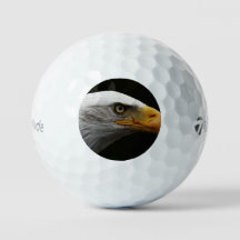 Bald Eagle tmtp5 gbcna