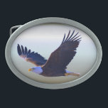 Bald Eagle Voando<br><div class="desc">Bald Eagle Flying. www.frontiernow.com</div>