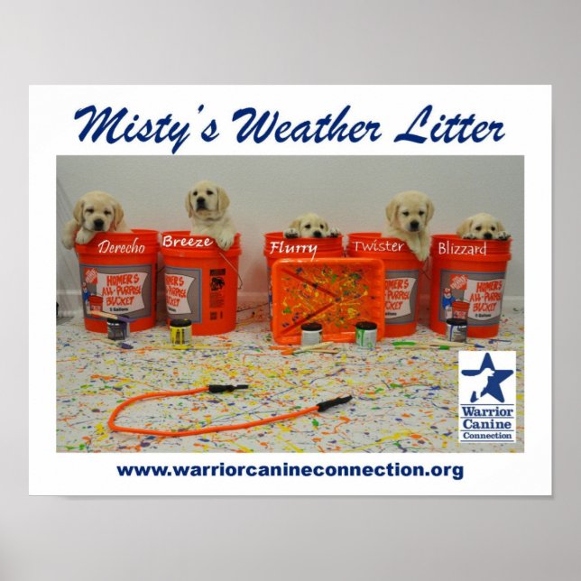 Balde de pintura puppies Poster (Frente)