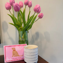 Baleia Alô Ali Ouro Cão Saudação Cartões