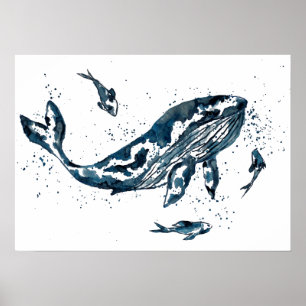 Baleia-Cura em Poster azul