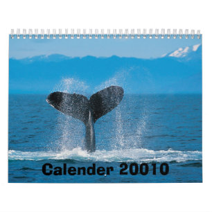 Baleia de Humpback, calendário 20010