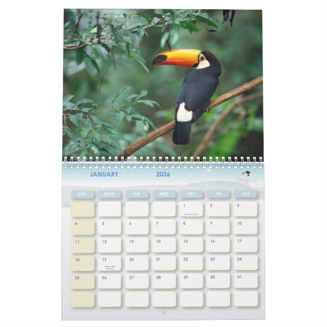 Baleia de Humpback, calendário 20010 (Jan 2026)