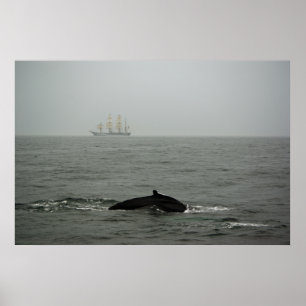 Baleia de Humpback e impressão alto do navio