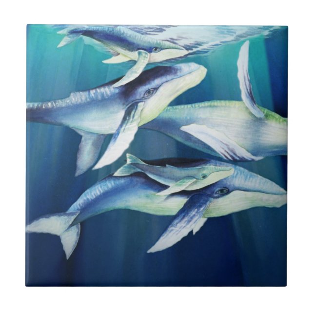 Baleias de Humpback (Frente)