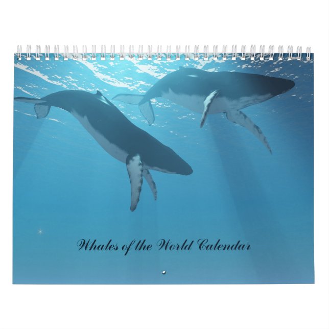 Baleias do Calendário Mundial (Capa)