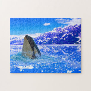 Baleias Orca Canadenses. Quebra-cabeça