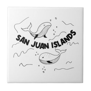 Baleias San Juan Islands