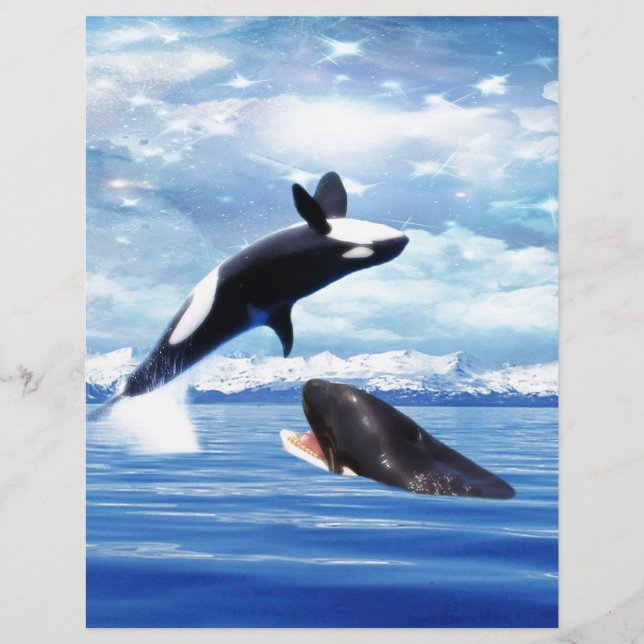 Baleias sonhadoras em diversão e brincadeira (Frente)