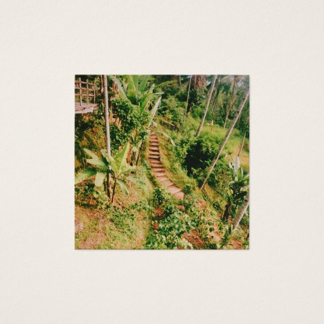 Bali, floresta tropical (Frente)