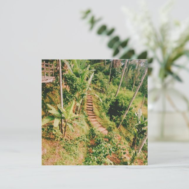 Bali, floresta tropical (Em pé/Frente)