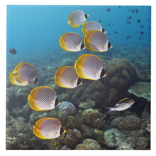 Bali, Indonésia (Frente)